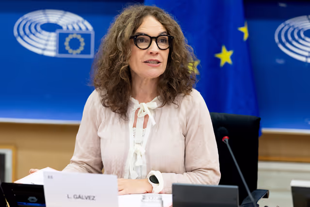 Foto 18: FEMM - Hearing on AI, gender-based violence including sexual images of women and children: the case of Grok
