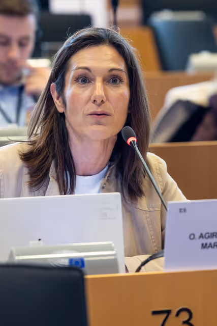 Foto 22: TRAN - Presentation of the study on Investing in Transport in the new MFF