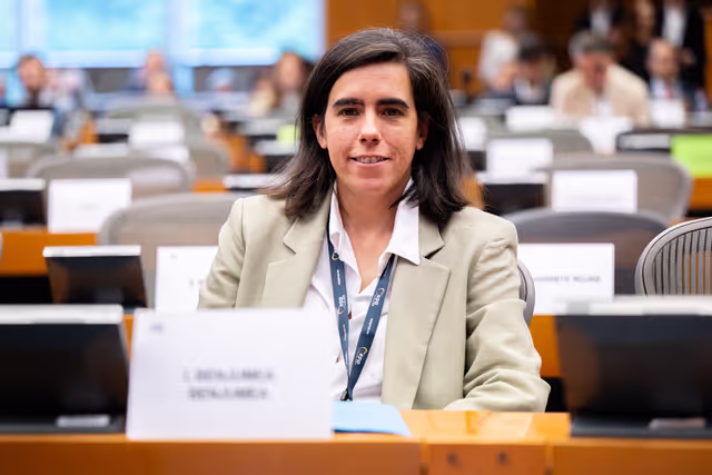 Foto 15: ECON - Public Hearing on the Market integration and supervision