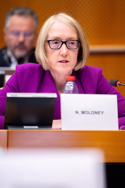 Foto 14: ECON - Public Hearing on the Market integration and supervision
