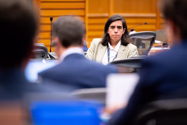 Foto 3: ECON - Public Hearing on the Market integration and supervision