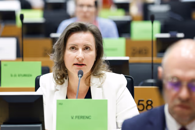 Photo 18 : AFET - Exchange of views with Members of the Verkhovna Rada of Ukraine on situation in Ukraine and Ukraine's path towards EU accession