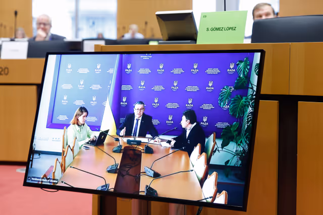 Photo 7 : AFET - Exchange of views with Members of the Verkhovna Rada of Ukraine on situation in Ukraine and Ukraine's path towards EU accession