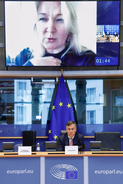 Photo 4 : AFET - Exchange of views with Members of the Verkhovna Rada of Ukraine on situation in Ukraine and Ukraine's path towards EU accession