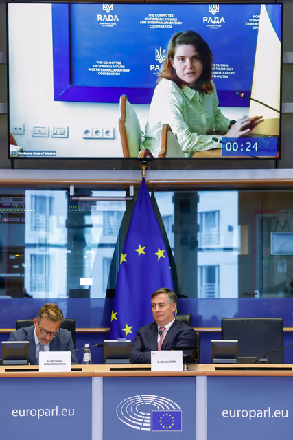 Photo 3 : AFET - Exchange of views with Members of the Verkhovna Rada of Ukraine on situation in Ukraine and Ukraine's path towards EU accession