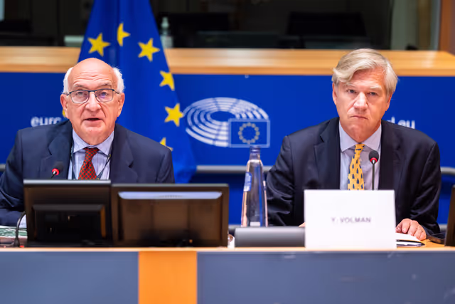 Φωτογραφία 36: LIBE - Public Hearing on ' Age verification, assurance and estimation techniques for the protection of minors online '