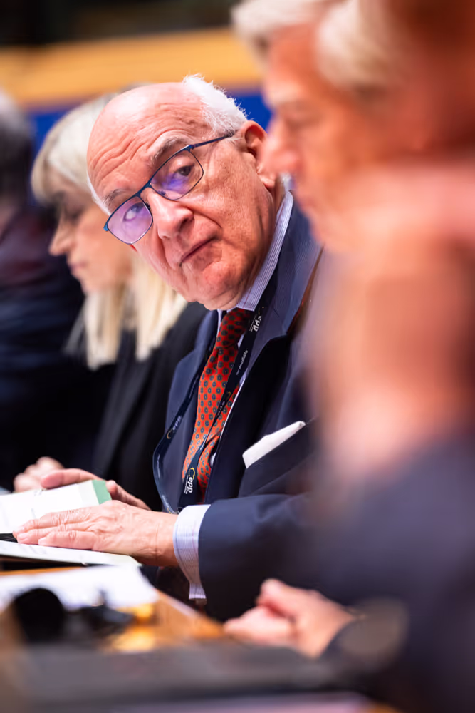 LIBE - Public Hearing on ' Age verification, assurance and estimation techniques for the protection of minors online '