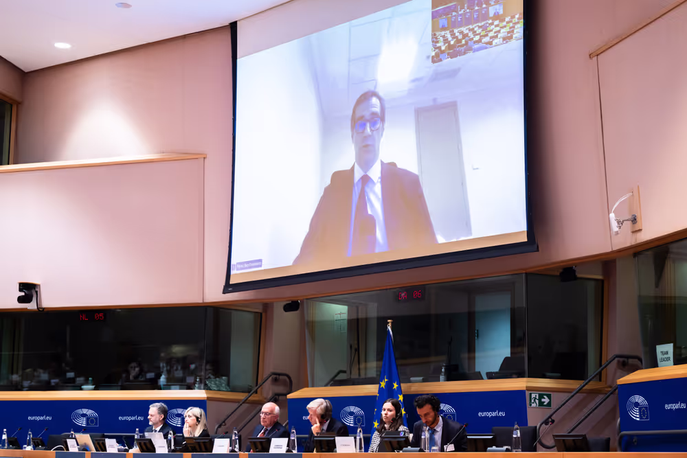 LIBE - Public Hearing on ' Age verification, assurance and estimation techniques for the protection of minors online '