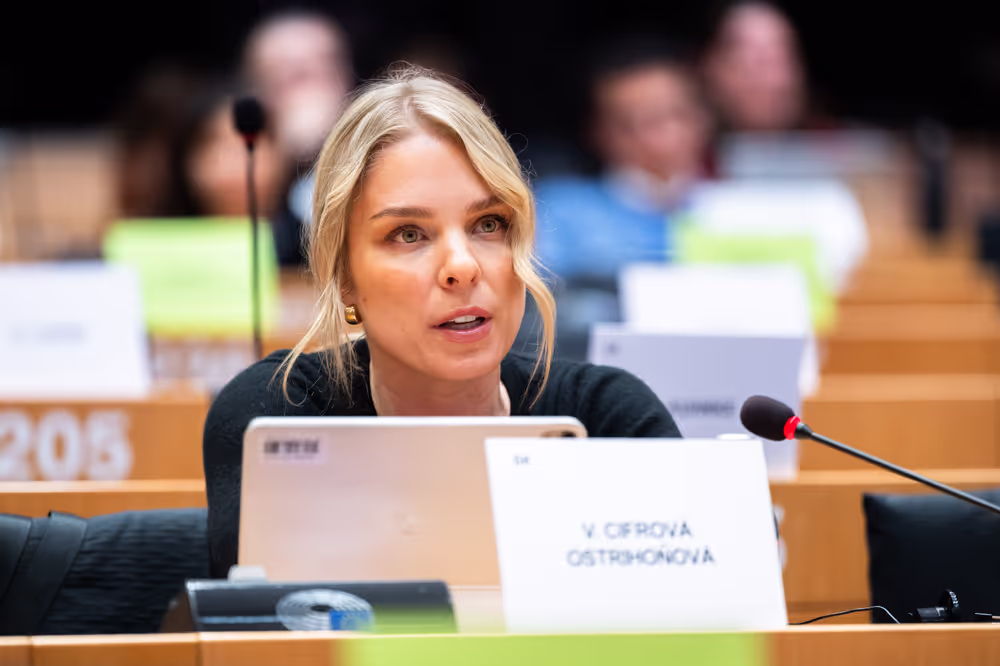 LIBE - Public Hearing on ' Age verification, assurance and estimation techniques for the protection of minors online '