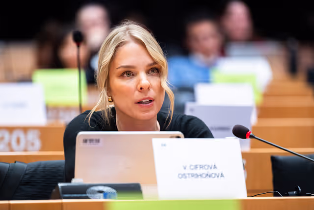 Φωτογραφία 10: LIBE - Public Hearing on ' Age verification, assurance and estimation techniques for the protection of minors online '