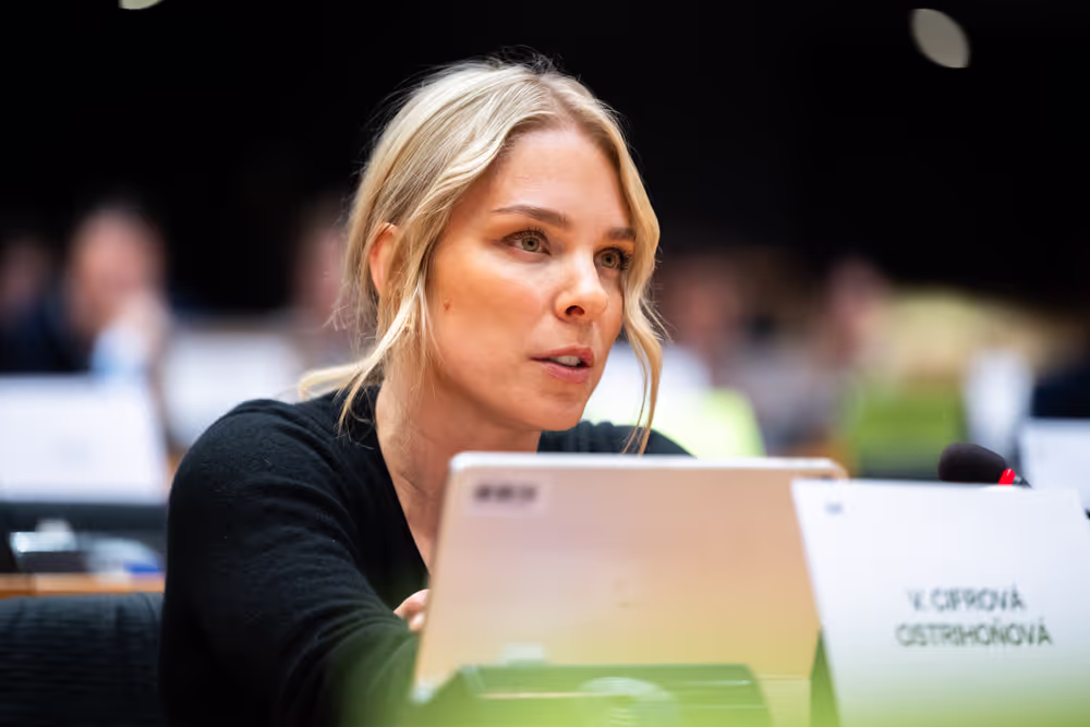 LIBE - Public Hearing on ' Age verification, assurance and estimation techniques for the protection of minors online '