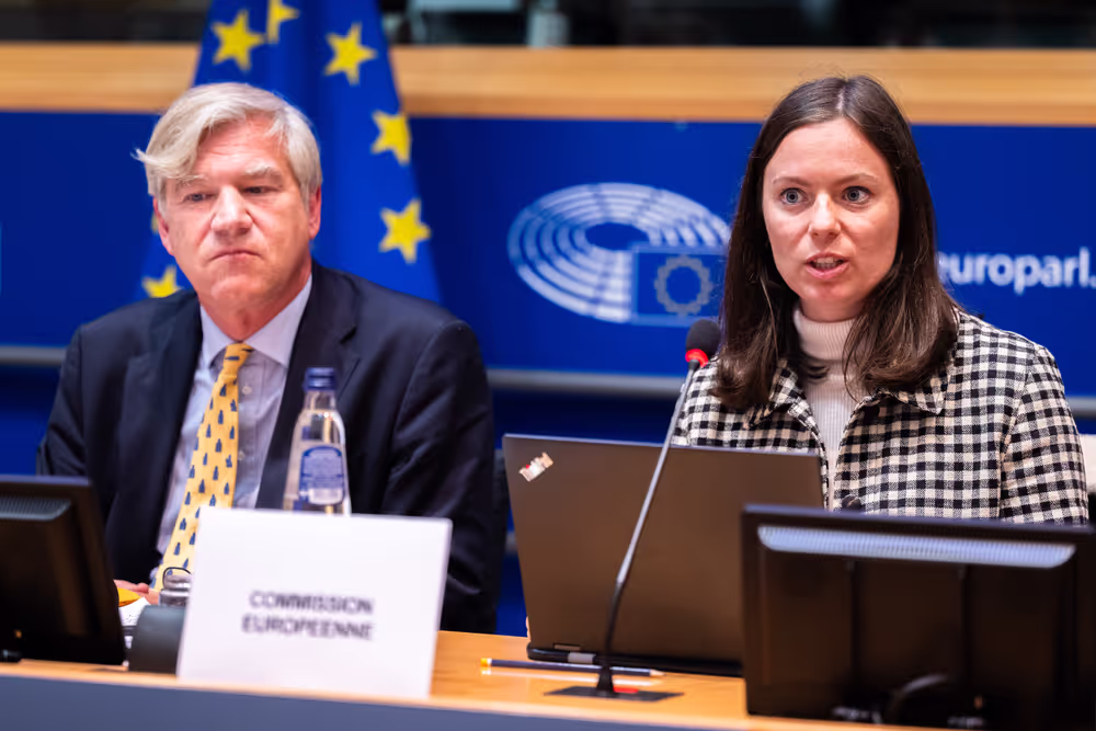 LIBE - Public Hearing on ' Age verification, assurance and estimation techniques for the protection of minors online '