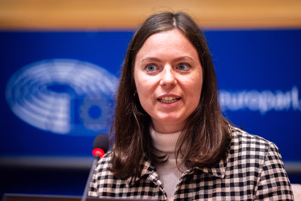 LIBE - Public Hearing on ' Age verification, assurance and estimation techniques for the protection of minors online '