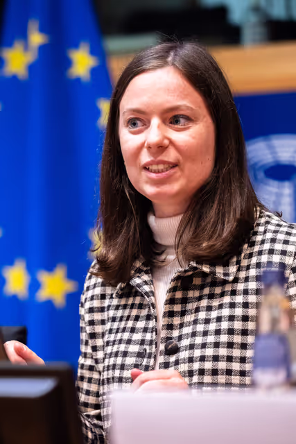 Φωτογραφία 7: LIBE - Public Hearing on ' Age verification, assurance and estimation techniques for the protection of minors online '