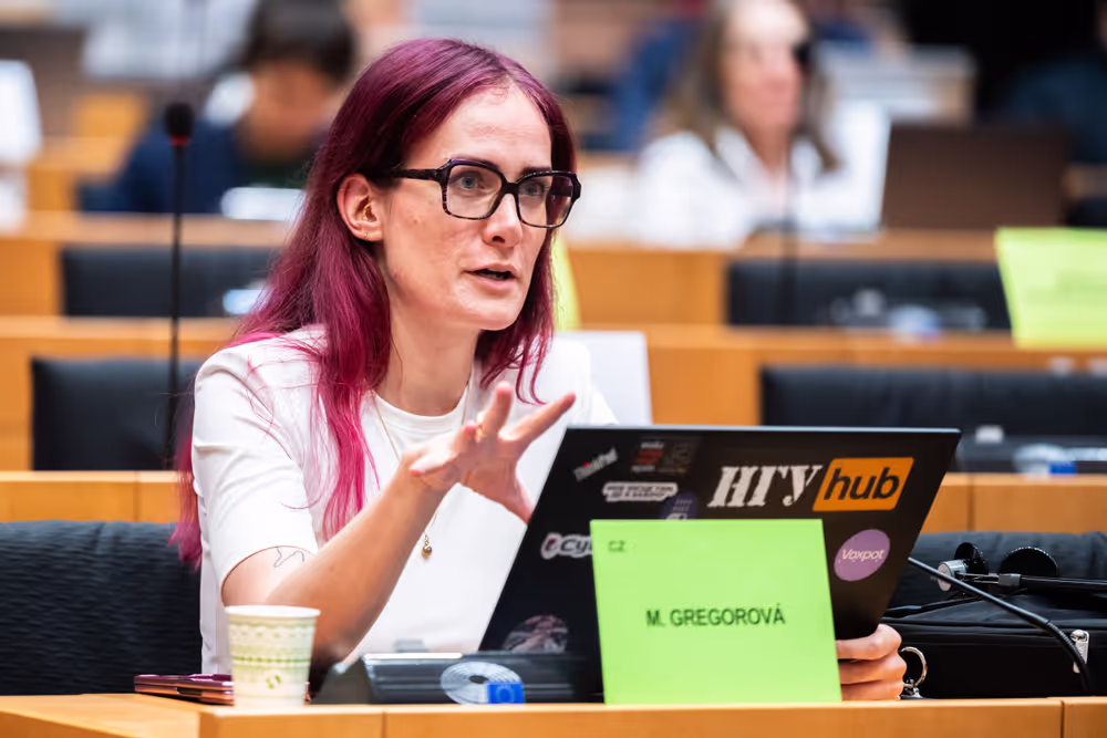 LIBE - Public Hearing on ' Age verification, assurance and estimation techniques for the protection of minors online '