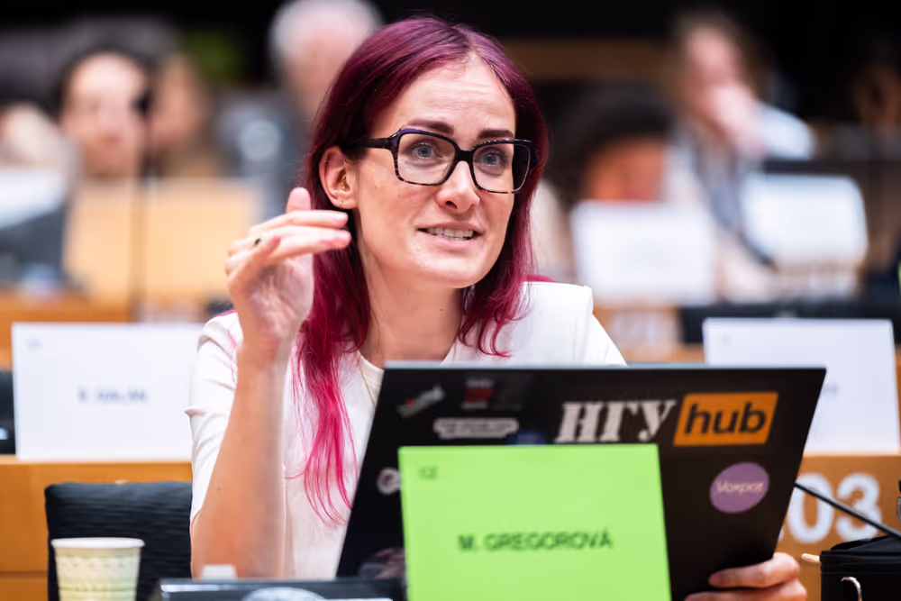 LIBE - Public Hearing on ' Age verification, assurance and estimation techniques for the protection of minors online '