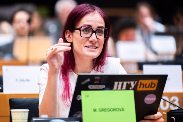 Φωτογραφία 5: LIBE - Public Hearing on ' Age verification, assurance and estimation techniques for the protection of minors online '