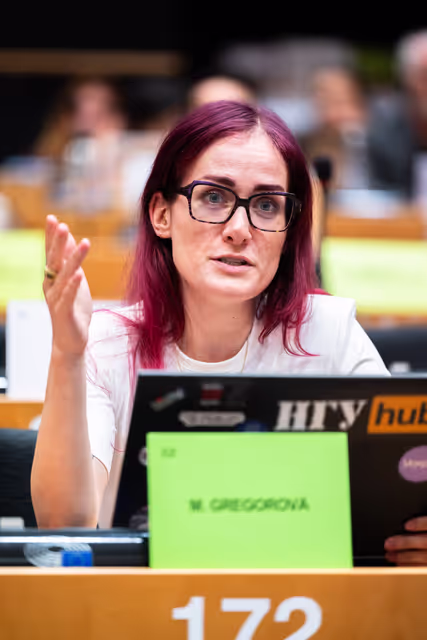 Φωτογραφία 4: LIBE - Public Hearing on ' Age verification, assurance and estimation techniques for the protection of minors online '
