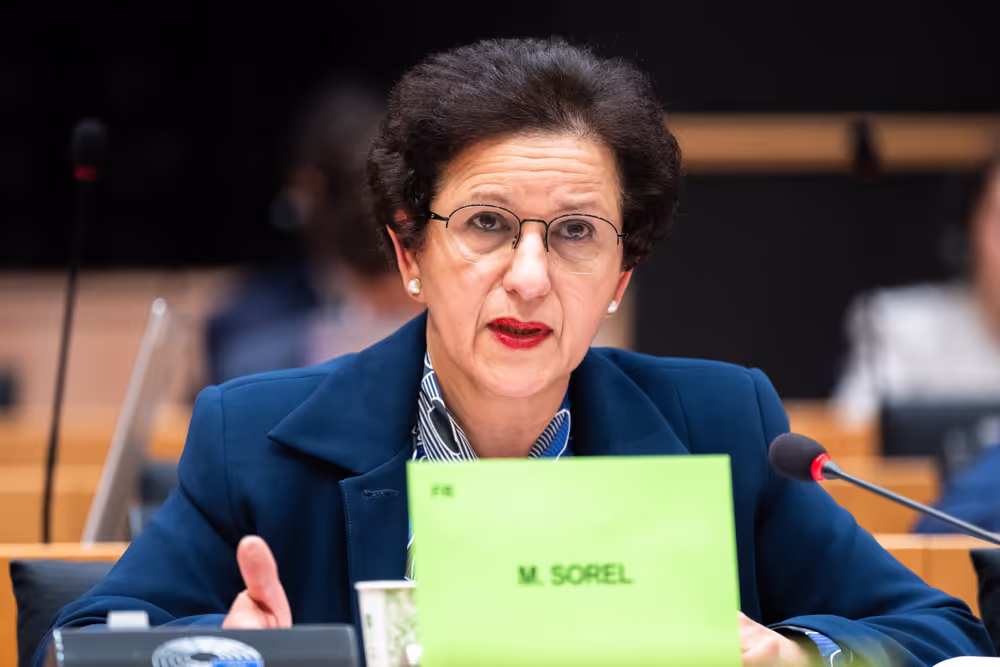 LIBE - Public Hearing on ' Age verification, assurance and estimation techniques for the protection of minors online '