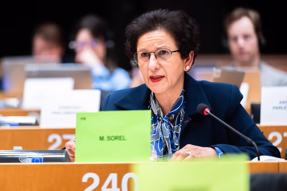 LIBE - Public Hearing on ' Age verification, assurance and estimation techniques for the protection of minors online '