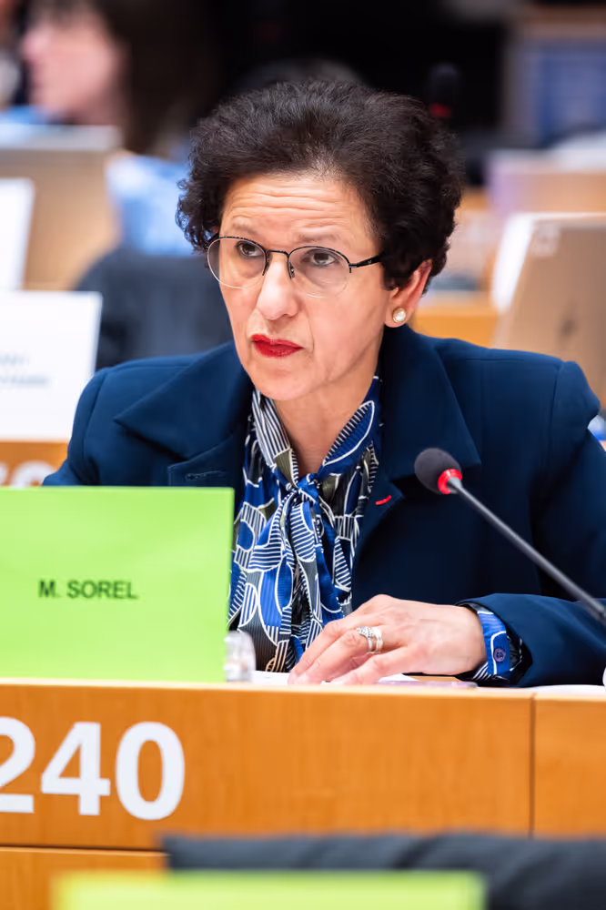 LIBE - Public Hearing on ' Age verification, assurance and estimation techniques for the protection of minors online '
