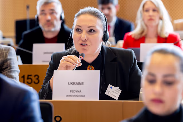 DROI Interparliamentary Committee Meeting - The role of the EU and its Member States in supporting global accountability mechanisms, including universal jurisdiction, .international courts and special tribunals
