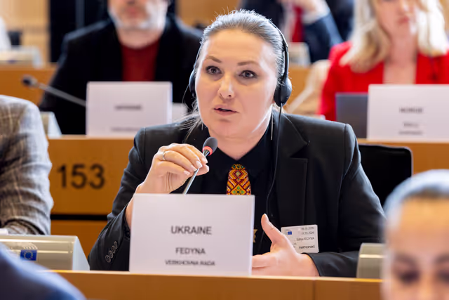 DROI Interparliamentary Committee Meeting - The role of the EU and its Member States in supporting global accountability mechanisms, including universal jurisdiction, .international courts and special tribunals