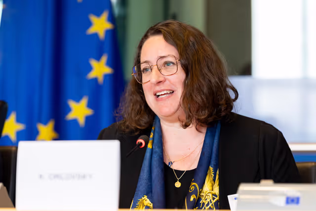 DROI Interparliamentary Committee Meeting - The role of the EU and its Member States in supporting global accountability mechanisms, including universal jurisdiction, .international courts and special tribunals