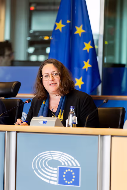 DROI Interparliamentary Committee Meeting - The role of the EU and its Member States in supporting global accountability mechanisms, including universal jurisdiction, .international courts and special tribunals