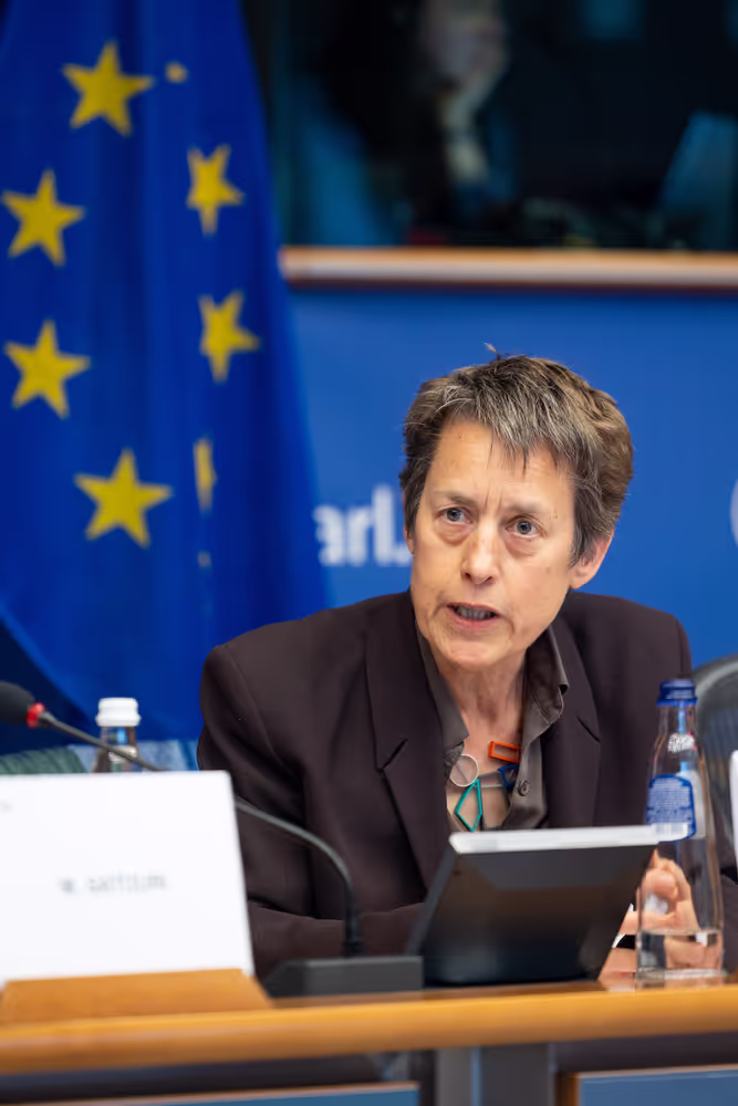 DROI - Public hearing on Addressing forced exile, removal of nationality and statelessness worldwide