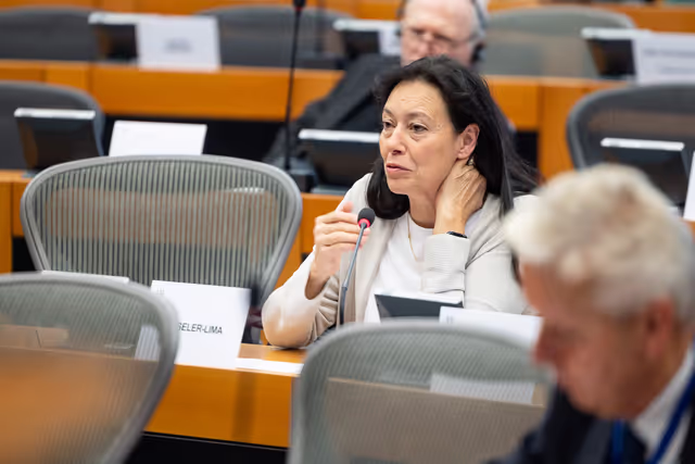 Photo 10: DROI - Public hearing on Addressing forced exile, removal of nationality and statelessness worldwide