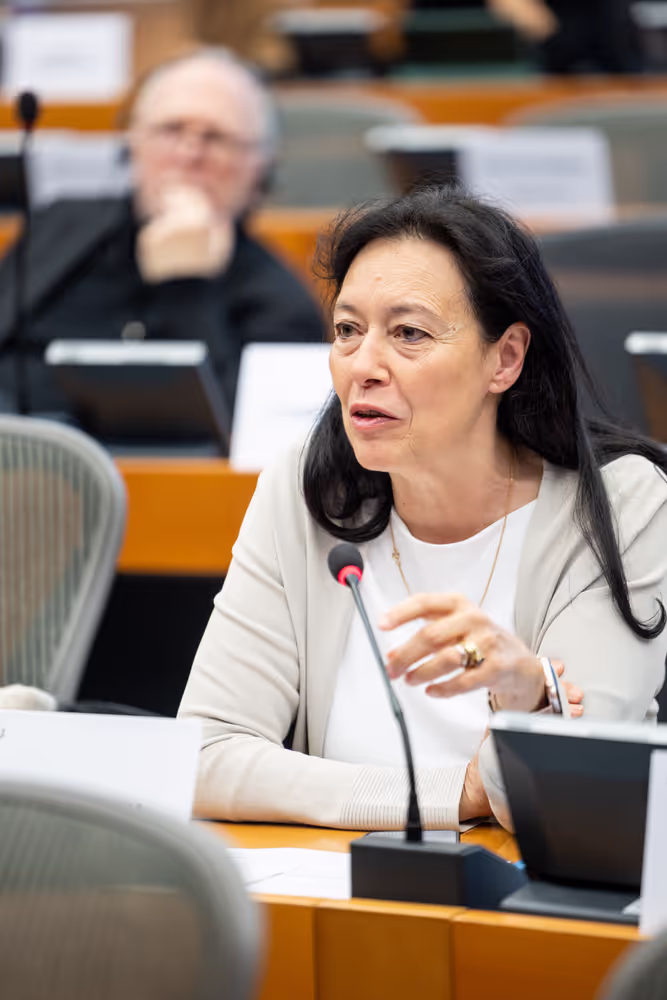 DROI - Public hearing on Addressing forced exile, removal of nationality and statelessness worldwide
