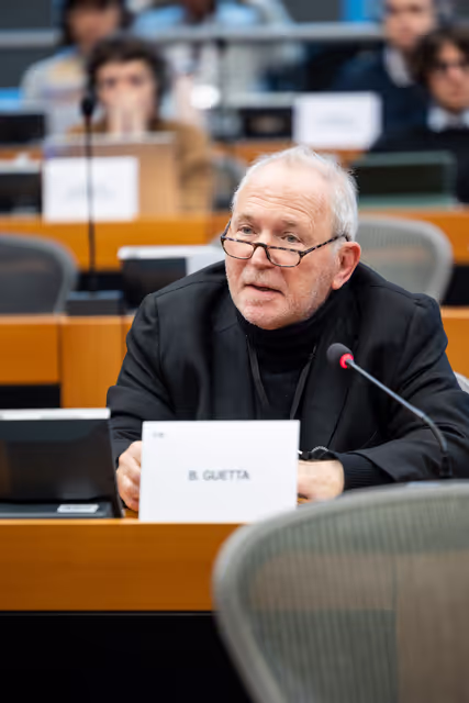 Photo 3: DROI - Public hearing on Addressing forced exile, removal of nationality and statelessness worldwide