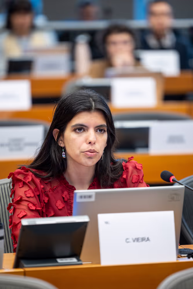 DROI - Public hearing on Addressing forced exile, removal of nationality and statelessness worldwide