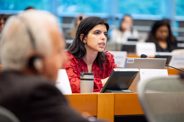 Photo 2: DROI - Public hearing on Addressing forced exile, removal of nationality and statelessness worldwide