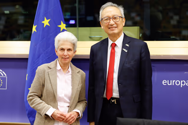 SEDE - Follow-up on the mission to Taiwan and regional security context
