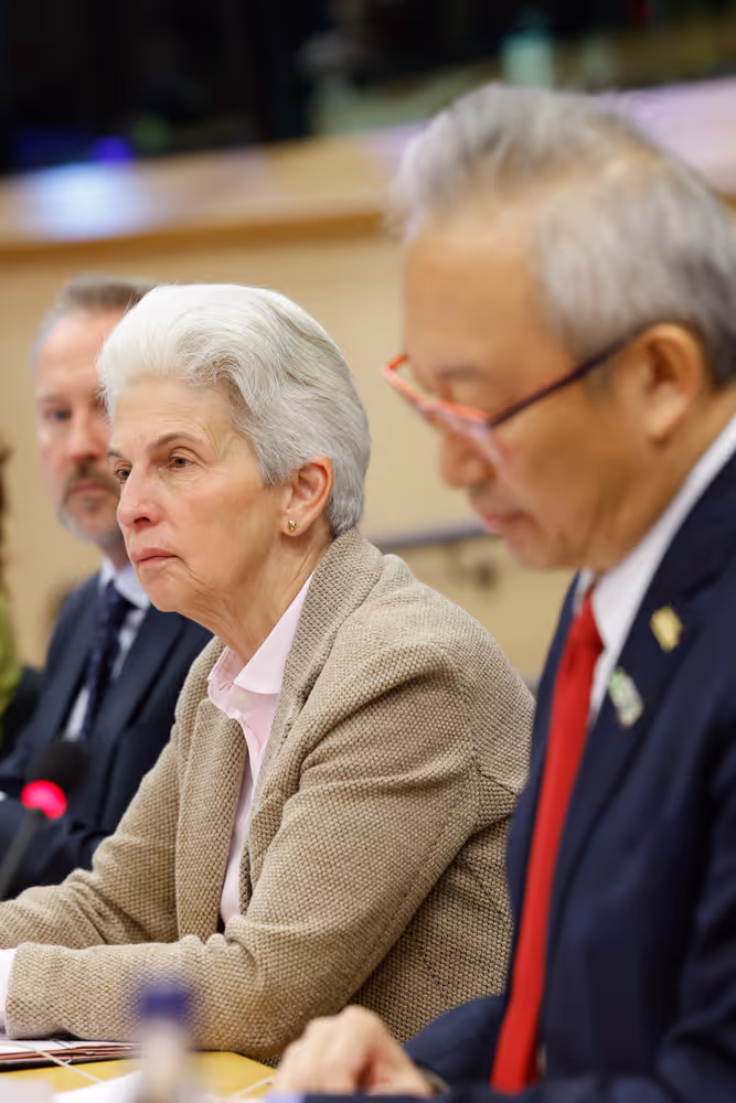 SEDE - Follow-up on the mission to Taiwan and regional security context