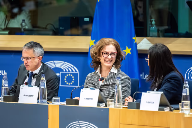 REGI - Establishing the European Social Fund as part of the National and Regional Partnership Plan set out in Regulation establishingconditions for the implementation of the Union support to quality employment, skills and social inclusion for the period from 2028 to 2034