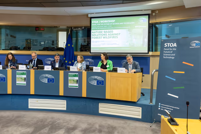 STOA Workshop - Nature-based Solutions Against Forst Wildfires