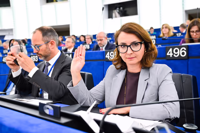 EP Plenary Session - Voting session