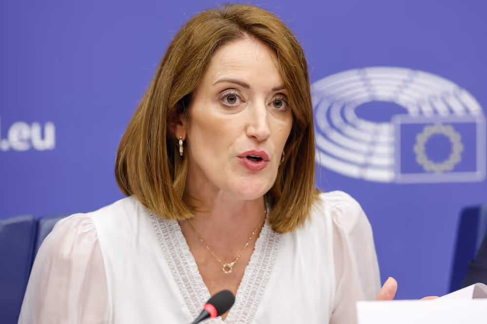 EP delegation to the Conciliation Committee meeting on Air passenger rights