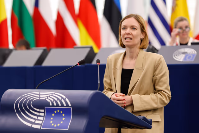 EP Plenary Session - European Citizens' Initiative Stop destroying videogames