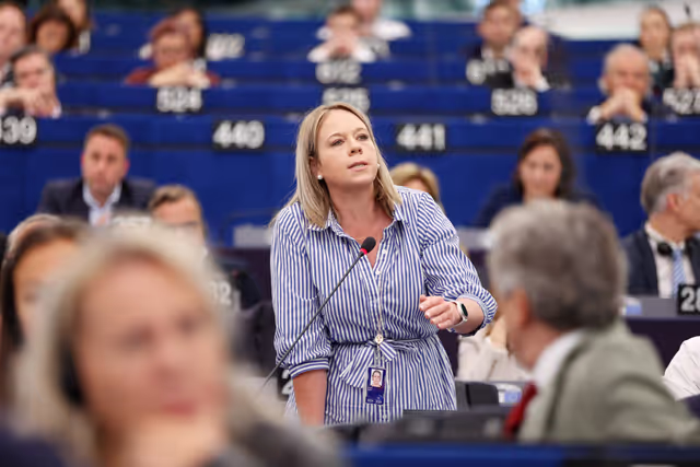 EP Plenary Session - Voting session