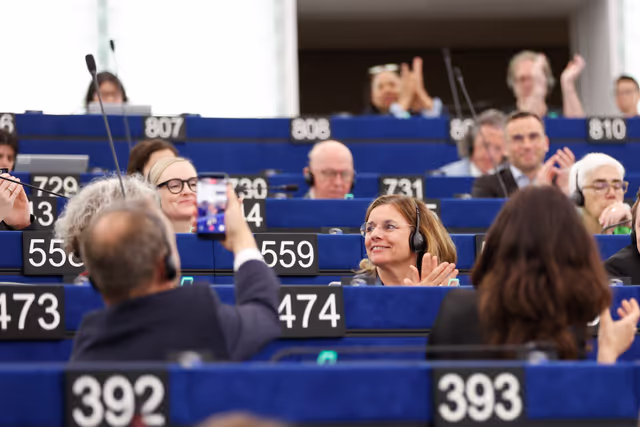EP Plenary Session - Voting session