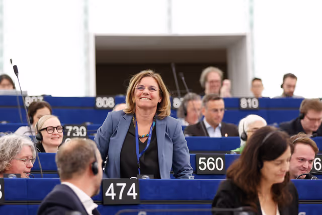 EP Plenary Session - Voting session