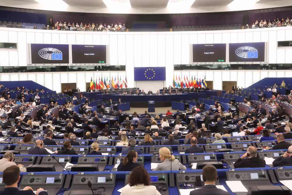Parlamento europeo: emergenza hantavirus, videogiochi, Medio Oriente e diritti umani