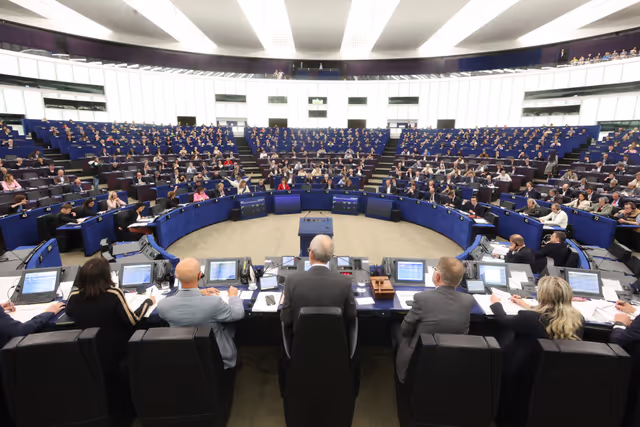 EP Plenary Session - Voting session