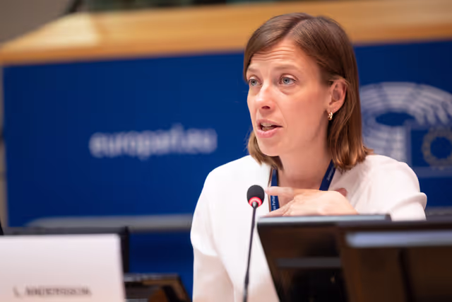 EMPL - Puiblic Hearing: A new EU strategic framework on health and safety at work post-2027 [MEES]