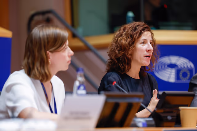 EMPL - Exchange of Views with Exchange of views with Roxana Mînzatu, Executive Vice-President for Social Rights and Skills, Quality Jobs and Preparedness on the Social package