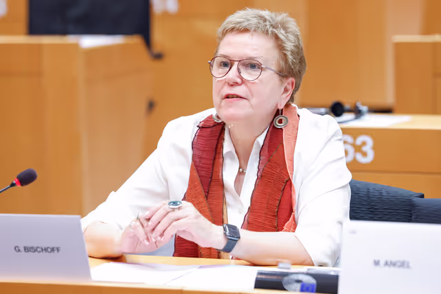EMPL - Exchange of Views with Exchange of views with Roxana Mînzatu, Executive Vice-President for Social Rights and Skills, Quality Jobs and Preparedness on the Social package